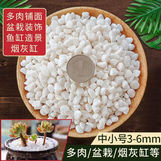 Runhuanian small white stone succulent paving stone flower cultivation pebbles rain flower stone fish tank landscaping basin fine full white stone 3-6mm 1jin jin is equal to 0.5 kg