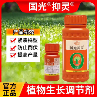 Guoguang guoguang yiling 50% chlormequat plant growth regulator corn control special vegetables, fruits and wheat to prevent crazy growth 500ml