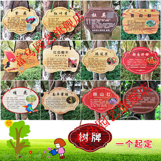 Shxi flower and grass brand customized acrylic tree brand customized plant identity sign tree introduction listing tip sign gardening supplies