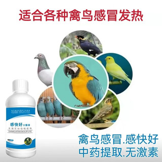 Chicken brand chicken breeder, duck breeder, goose breeder, pigeon breeder, egg-increasing parrot to increase fertilization rate, bird-specific vitamin premix white egg, birds and pigeons feel good and good, 1 bottle 250ml