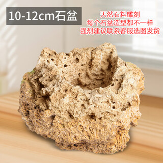 Stone flowerpot absorbent stone stone natural stone flowerpot with asparagus bamboo and calamus succulent micro landscape pot (without bottom bracket) 10-12cm inner diameter 5cm