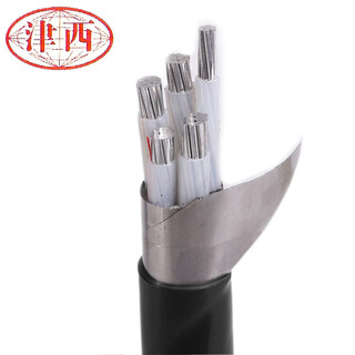 Aluminum core armored cable (unit of measurement: meter) (zr/zc) yjlv22-0.6/1kv- 4*50+1*25