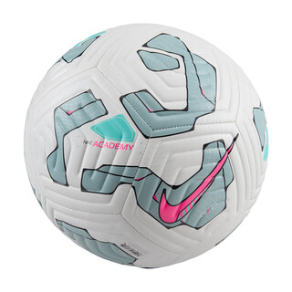 Nike football standard no. 5 ball pl nk academy premier league match ball fz2966-105