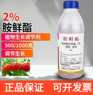 Jianwufeng jianwufeng 2% ethylamine promotes germination cell division, rooting, strong seedlings and enlarging fruits, stress-resistant growth regulator 500g
