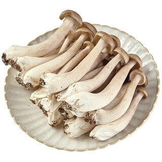 Deer antler mushroom 150g