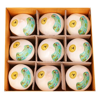 Praising thai green coconut 9 perfume coconut large coconut fresh fruit thai green coconut 9 single fruit 1100-1300g