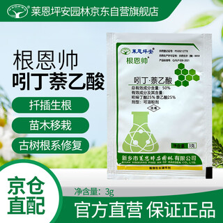 Laianping'an 50% indole butyric acid naphthalene acetic acid grape fruit tree poplar growth regulator to promote rooting and improve survival rate