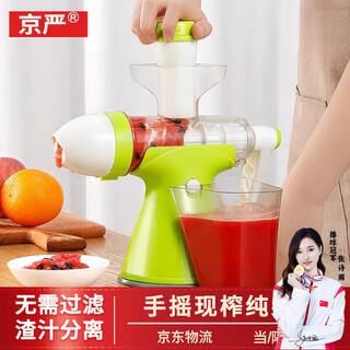 Jingyan manual juicer hand-pressed juicer household original juice machine small residue juice separation freshly squeezed fruit juice press artifact double port design juice + ice cream fruit green