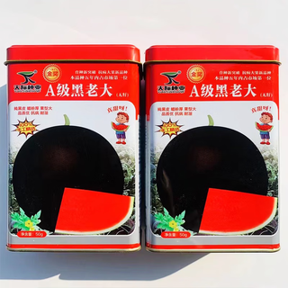 A-grade black skinned seedless watermelon seeds, round, super sweet, large, red-flesh watermelon seeds, fruit seeds, a-grade black boss 50g