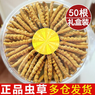 北京同仁堂冬虫夏草冬虫夏草藏区雪域虫草3根一克干货冬虫草送 礼盒装