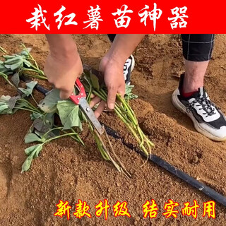 Agricultural sweet potato seedling planting tool, sweet potato seedling planting tool, sweet potato seedling planting tool, seedling planting tool, clamp, new agricultural tool, 125 yuan, 5 pieces