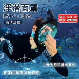 OIMG浮潜面罩成人全脸潜水辅助装备可呼吸器游泳潜水镜全干式氧气面罩 浅蓝色-S/M