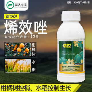 Thompson recon 10% uniconazole citrus tree control slightly promotes flowering rice control growth pesticide plant growth regulator 500g/bottle