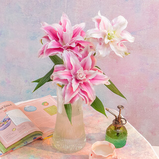 Three-headed double lily, 1 random color