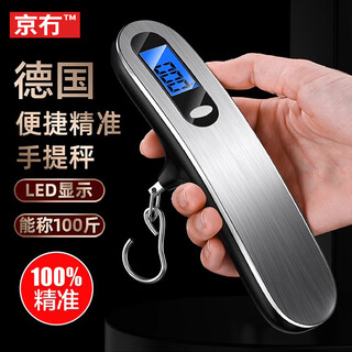 Beijing's high-precision portable electronic scale household portable hook scale mini precision hook scale luggage scale fish scale