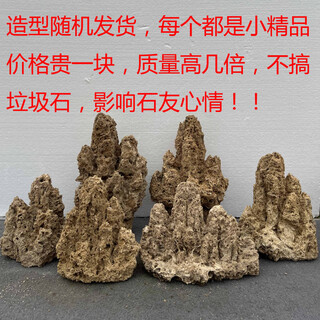 Fine small water stone bonsai rockery absorbent stone micro landscape decoration strange stone ornaments natural rough stone rust stone 10-14cm free grass seeds and stones