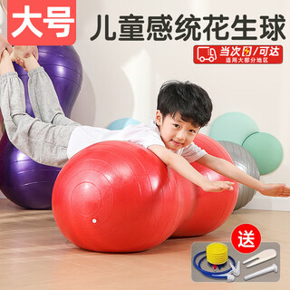 Oein yoga ball peanut ball children's sensory training equipment balance dalong fitness ball pregnant women massage home explosion-proof red peanut ball + inflator