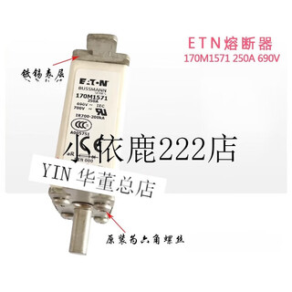 Bussmann保险丝-D  690V熔断器 170M1572