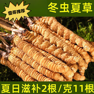 胖东来同款冬虫夏草细支虫草2025冬虫夏草高海拔现挖滋补曲玉树 野生虫草3根/·g【10根装】