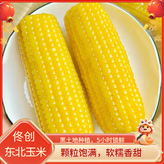 Tong chuang northeast yellow waxy corn fresh waxy sweet corn on the cob meal replacement light food vacuum packaging fresh corn northeast yellow waxy corn 220g*10 cobs