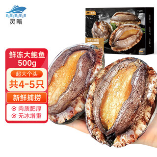 Linglue fresh frozen large abalone net weight 500g 4-5 pieces abalone box hot pot barbecue shellfish seafood fresh