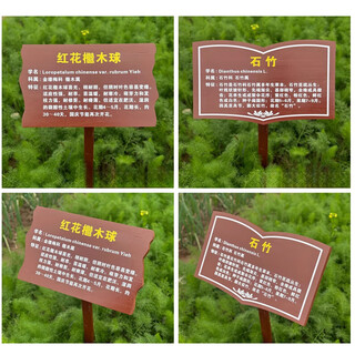 奉希定制中草药牌植物介绍牌简介牌花卉品种科普牌插地牌挂式树木 挂式-打孔麻绳 60x38cm