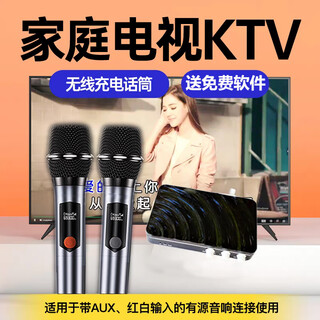 Projector tv karaoke wireless microphone home sound wall microphone with audio equipment set home ktv high-end version + 2 rechargeable microphones