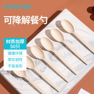 Yunlei disposable spoon rice spoon long handle food grade biodegradable corn based dessert spoon home commercial 50 pieces long handle biodegradable corn based spoon