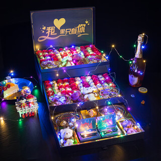 Dixianger's valentine's day and new year's gift for girlfriend, wife, makeup, 20-30-40 year old daughter-in-law's birthday gift for girls, luxury 520 for a lifetime (lipstick style)