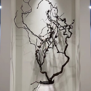 Fandie's new product, dragon jujube branch, natural curved branches, chinese style floral landscaping, flower arrangement decoration, dry branches, living room, floor-standing, air-drying, dragon jujube branch 140cm-150cm, hand-picked