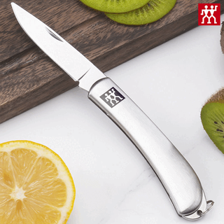 双立人（ZWILLING）德国不锈钢可折叠水果刀削皮刀家用便携式随身露营小刀 不锈钢水果刀 1把