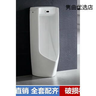 Renjuyi urinal 81987 induction integrated floor-standing uswn810b dry battery