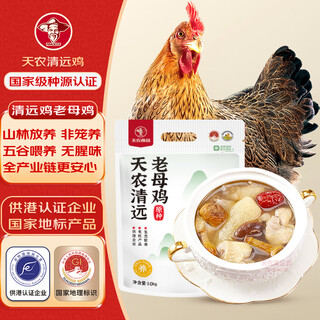 Tiannong qingyuan chicken old hen whole chicken 2jin jin equals 0.5kg ecological free range 300 days free range chicken frozen confinement stew