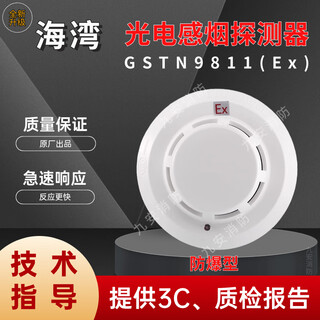 Bay explosion-proof smoke detector jty-gm-gstn9811(ex) coded point type photoelectric smoke sensor temperature fire white