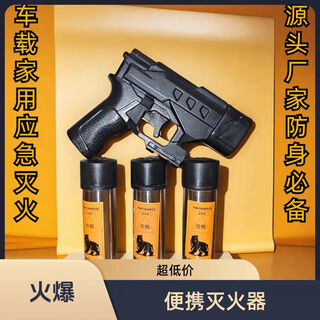 New outdoor small vehicle-mounted portable legal household protective supplies tools vehicle dry powder fire extinguishing gun