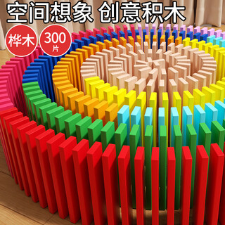 Fuhaier solid wood 300 pieces domino building blocks to build kindergarten early education children's educational toys birthday gift