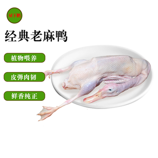 Goose under the house 2-year-old shelduck 2.5 jin jin is equal to 0.5 kg / piece farm-raised ducks in shaoxing, zhejiang, old ducks with duck meat