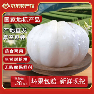 Jincheng lily valley lanzhou lily gansu specialty fresh lily freshly dug farmhouse edible sweet stir-fry stew moist vegetables half jin jin equals 0.5 kg 8 pieces 4 heads packed 250g (vacuum + fresh box)