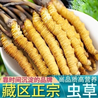 虫草正宗冬虫夏草藏区高海拔头期干货虫草泡酒材料 新店亏本冲销量/高品质纯肉虫草 手工挑选纯肉虫草[1根]