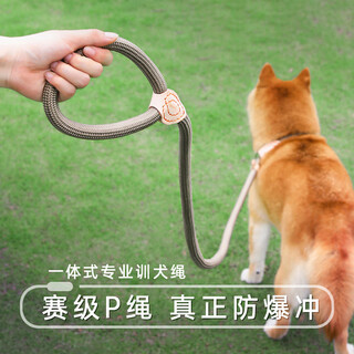 Beichuzhong dog leash p rope dog leash dog leash large, medium and small dogs out walking leash dog leash dog training p rope p chain recommended 15~30 jin jin equals 0.5 kg 1.8 meters long * diameter 1cm event grade explosion-proof p rope beige