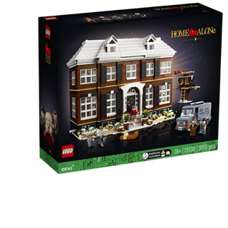 【9成新】乐高IDEAS系列小鬼当家21330积木玩具男孩女孩生日礼物家居装饰 