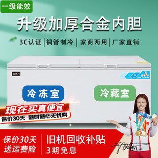 北极川冰柜商用智能温控卧式大容量冷柜家用冷藏冷冻展示柜冰箱保鲜柜雪糕柜 升级合金内胆|双温698白左冷冻右冷藏-约400L
