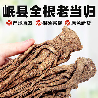 聚和泰【原产地直发】岷县精选特级足龄全根当归250g当归头片泡水中药材