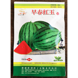 Early spring ruby watermelon seeds japanese fruit seeds sown in four seasons super sweet small watermelon seeds spring early spring ruby 200 original (produced in xinjiang)