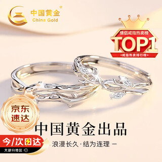 Chinese gold twig couple ring proposal sterling silver pair ring to express love wedding anniversary gift for wife and girlfriend birthday twig couple ring jingsuda