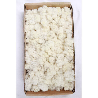 Plant boxed flower material package diy dry dried flowers real flower plant wall simulation fluffy background wall white 500g