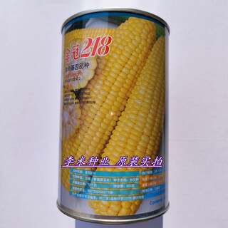 Fruit corn seeds super sweet fresh edible big stick without residue beijing sihai seed industry golden crown 597 corn seed original golden crown 218 fruit corn canned 450g