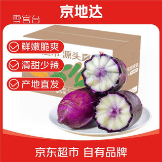 Jingdida shandong authentic ice cream fruit radish net weight 9jin jin is equal to 0.5kg single fruit 400g+ crispy and tender straight from the source
