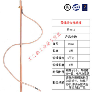 MPPMCK接地针 带线防雷铜包钢接地棒镀铜地针地极线充电桩避雷针工厂静 组合15(工厂接地)