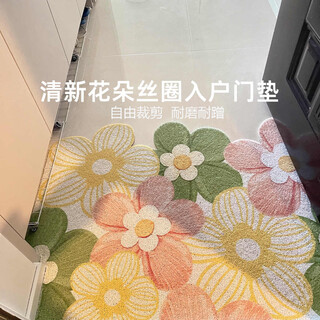 Jeppe silk circle entrance door floor mats entrance door foot mats can be cut anti-slip mats entrance carpet 60*90cm